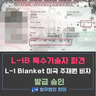 L1blanket_2